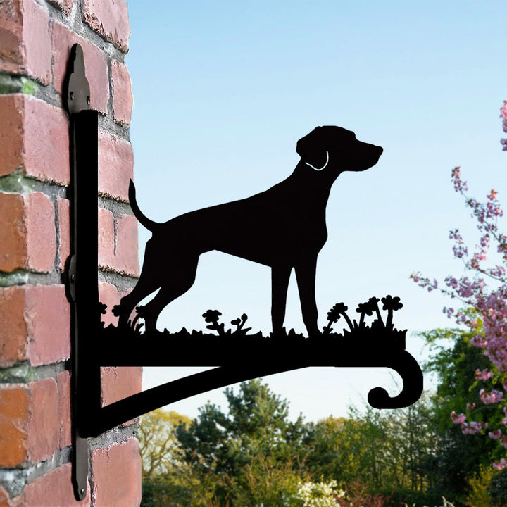 Braco Alemão de Pelo Curto - Suporte de Planta em Metal